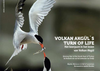 Corendon-Volkan Akgül-Röportaj