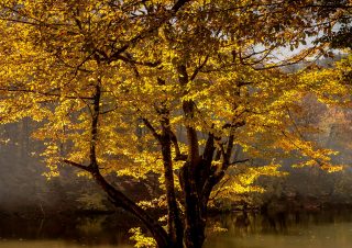 volkan-akgul-landscape-photos